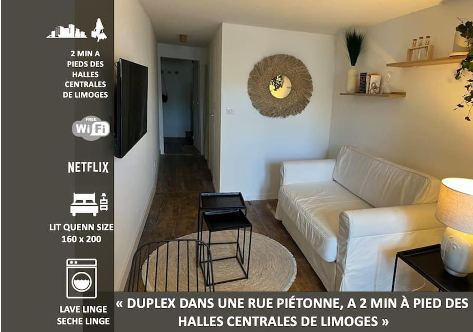 Superbe Duplex Hypercentre Dans Une Rue Pietonne リモージュ エクステリア 写真